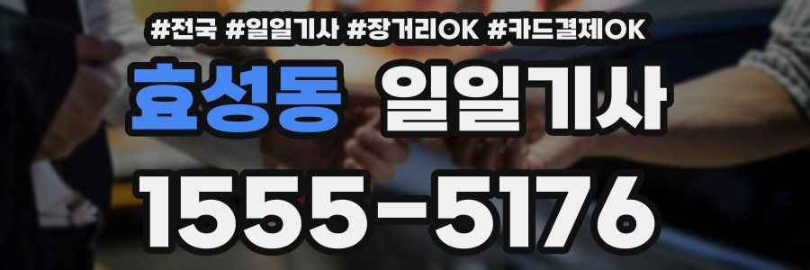 효성동 일일기사