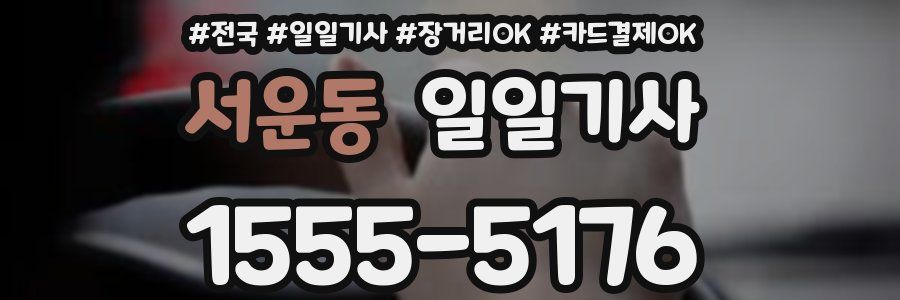 서운동 일일기사