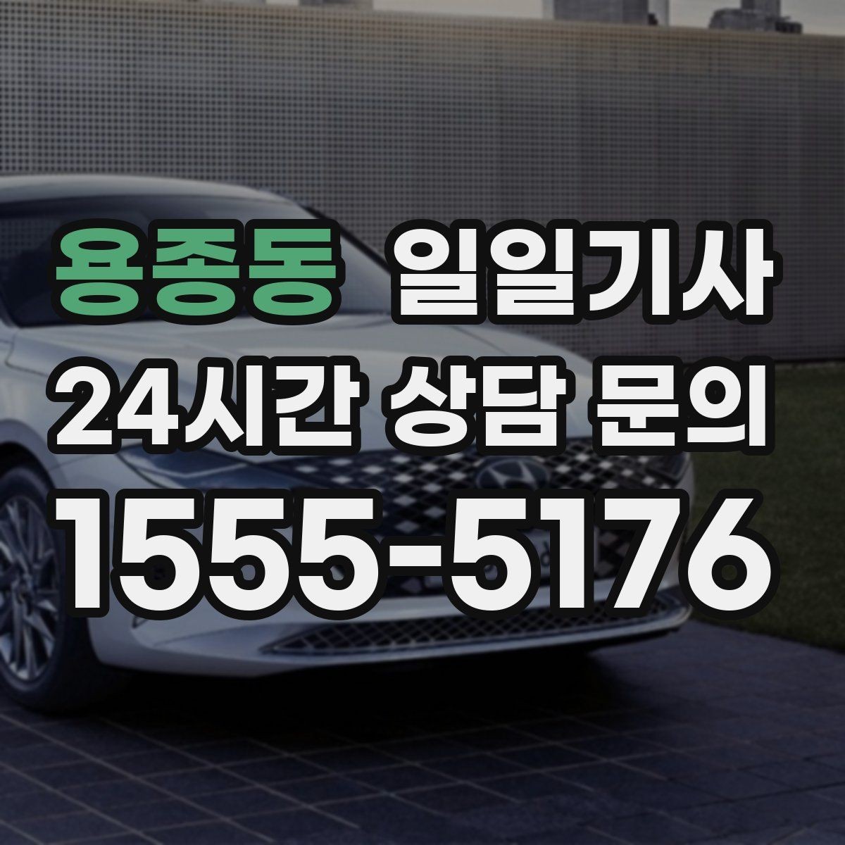 용종동 일일기사 수도권 다중 경유도 가벼운 발걸음