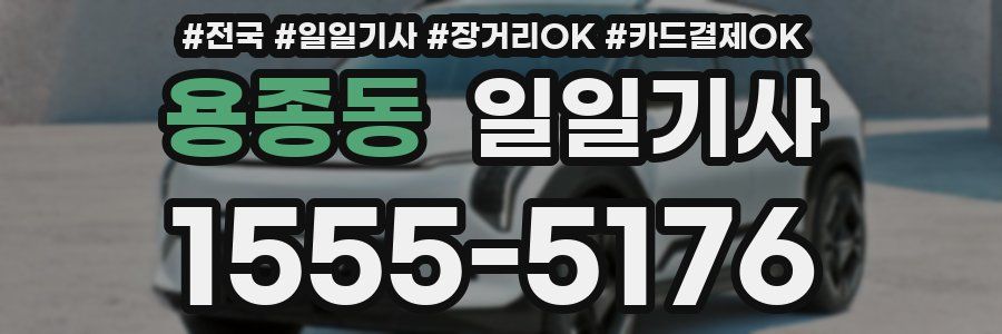 용종동 일일기사