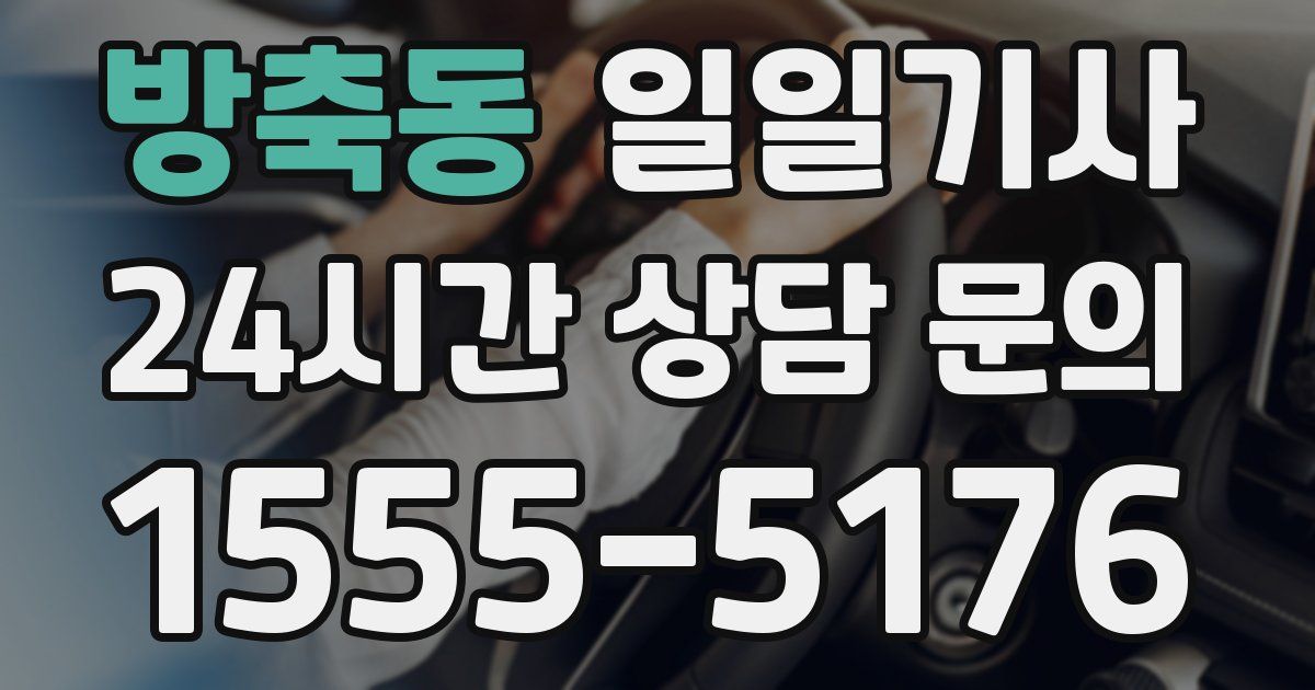 일일대리기사