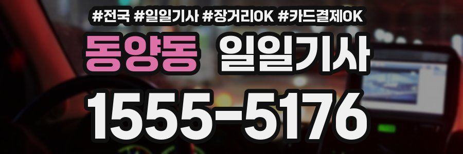 동양동 일일기사