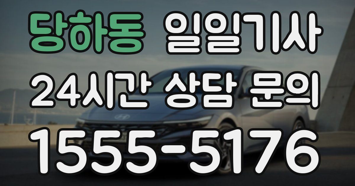 일일대리기사