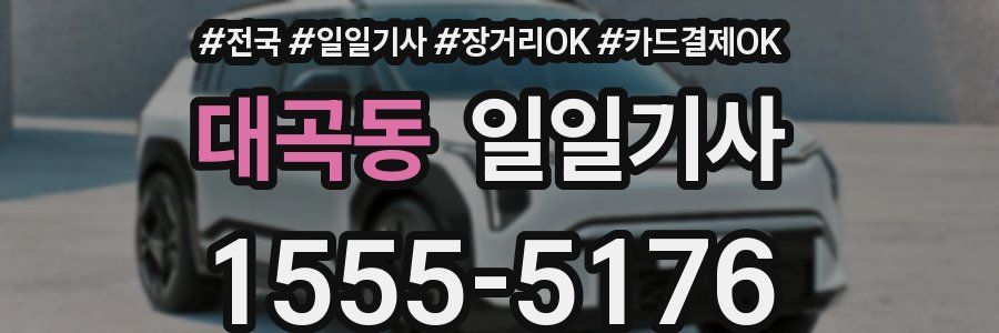 대곡동 일일기사