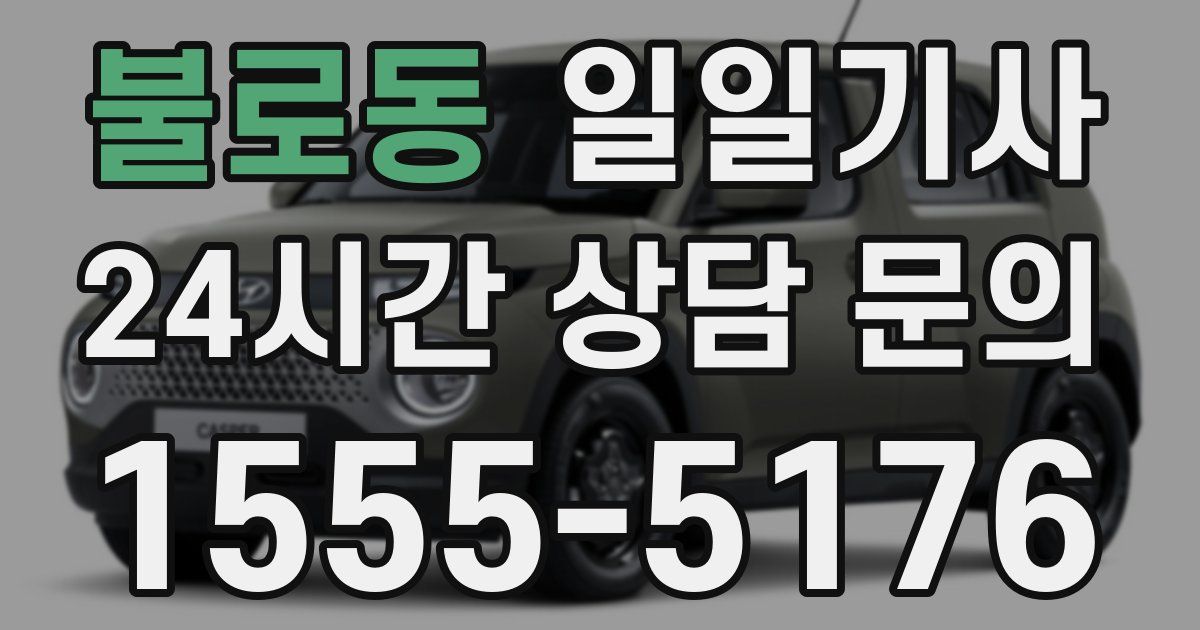 일일대리기사