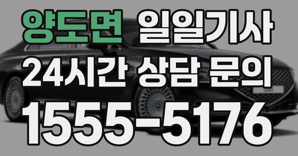 일일대리기사