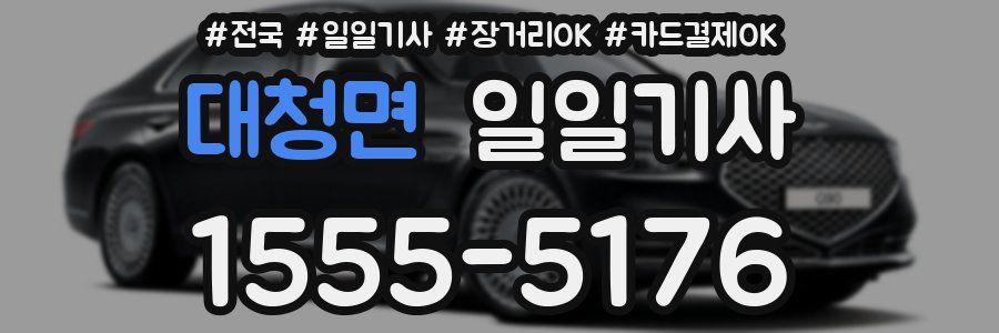 대청면 일일기사