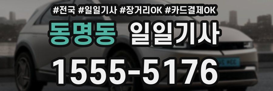 동명동 일일기사