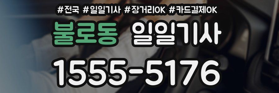 불로동 일일기사