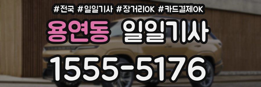 용연동 일일기사