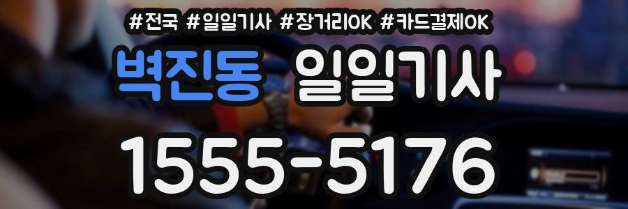 벽진동 일일기사