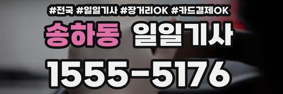 송하동 일일기사