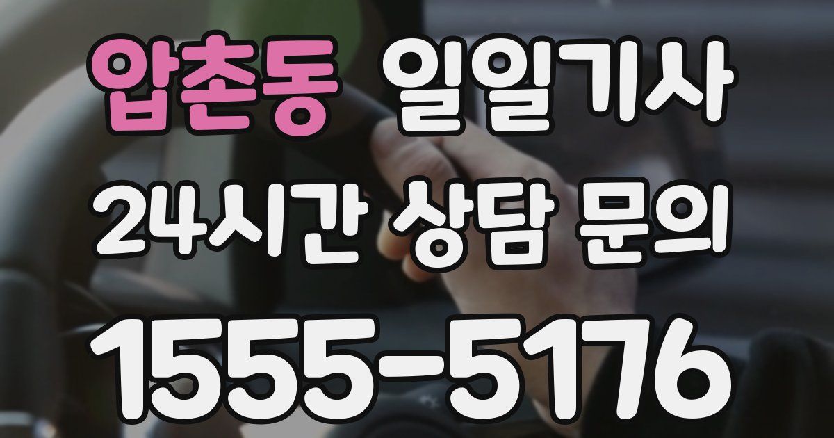 일일대리기사