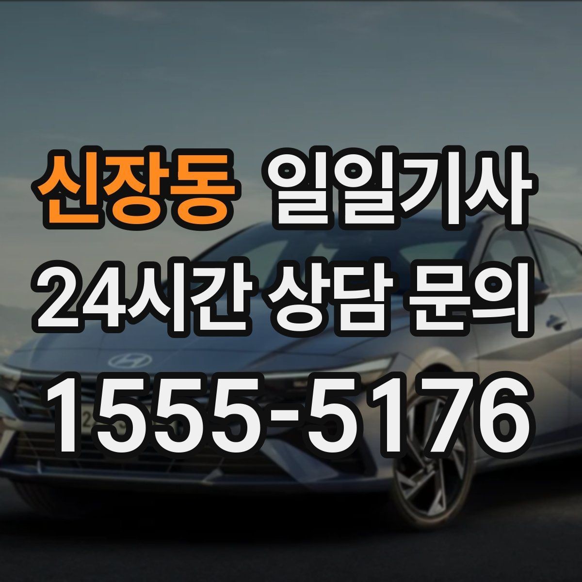 신장동 일일기사 보안이 필요한 일정에도 안심 동행