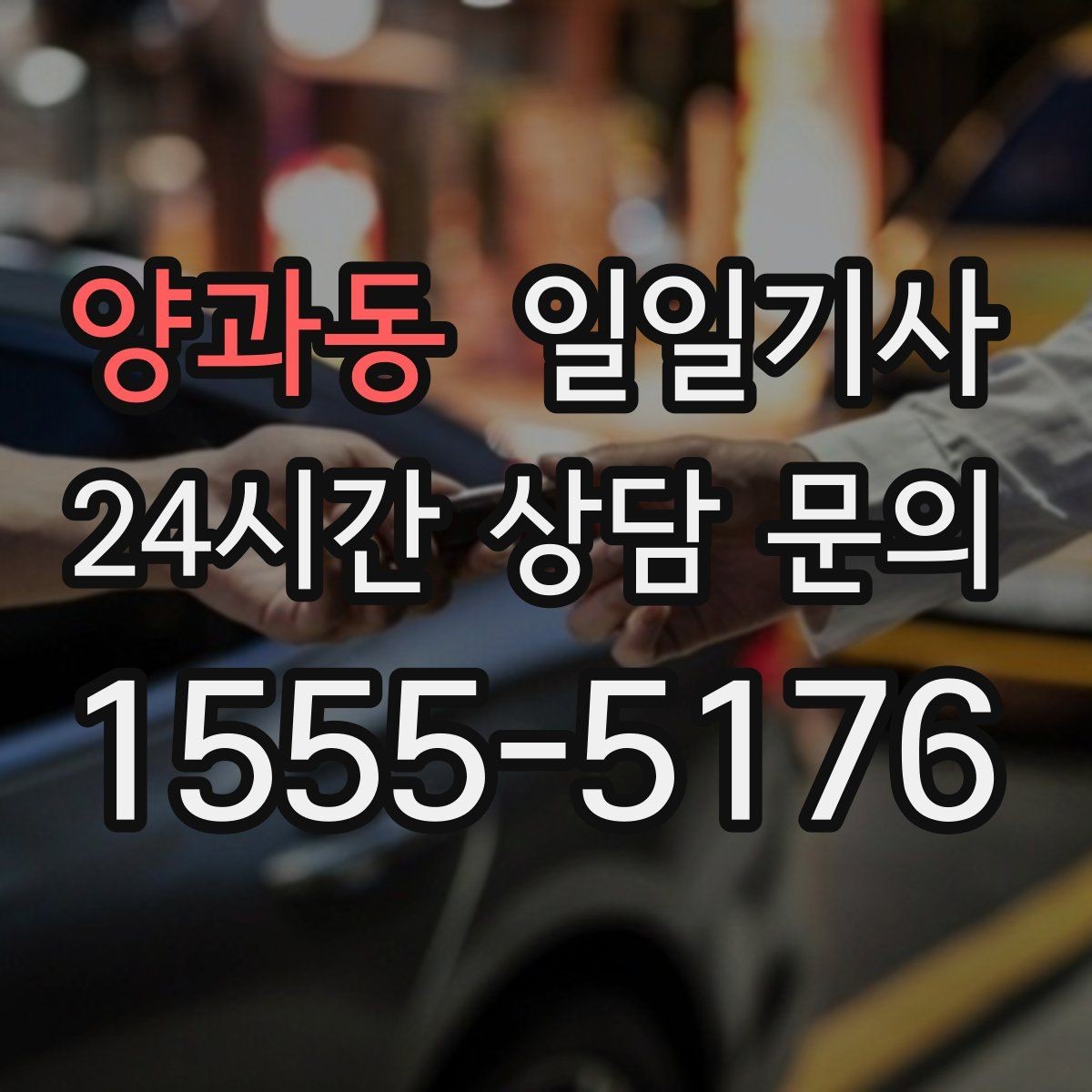양과동 일일기사 공항과 미팅을 한 노선에 담는 하루