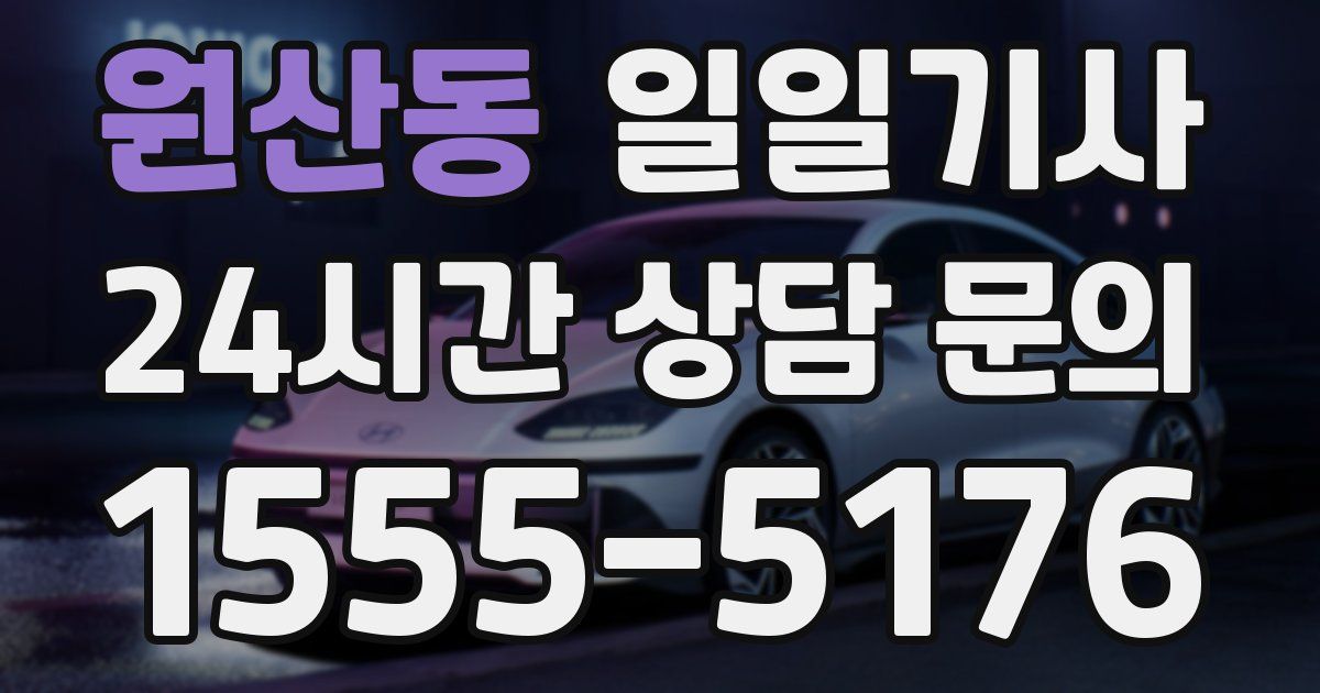 일일대리기사