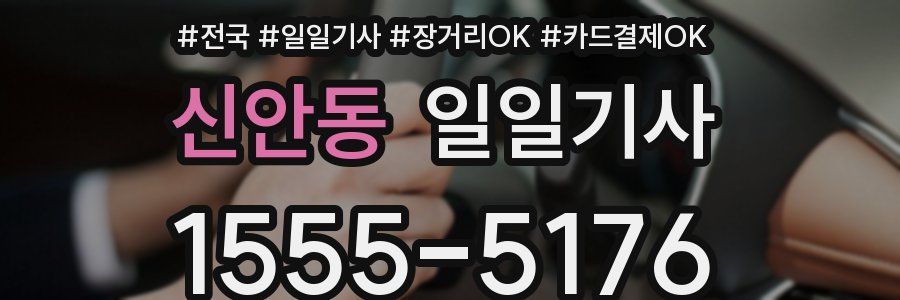 신안동 일일기사