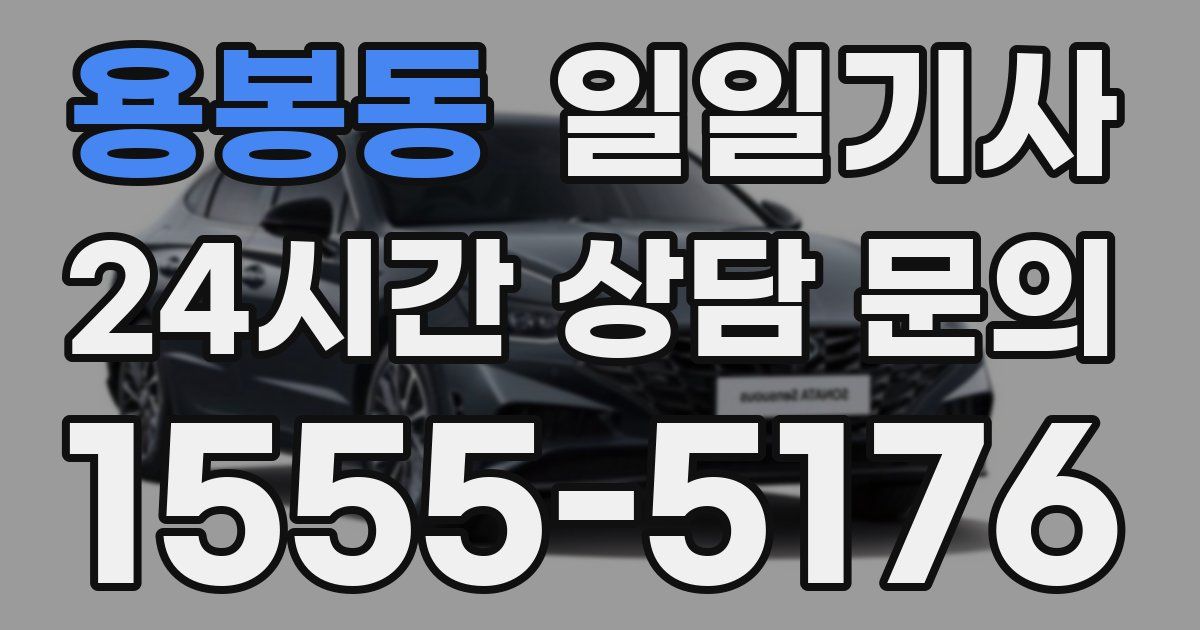일일대리기사