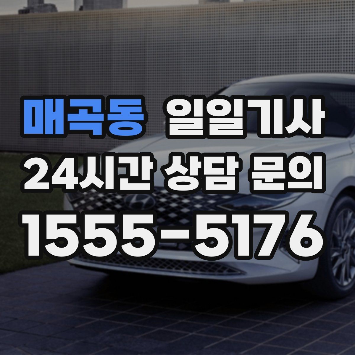 매곡동 일일기사 통화가 잦은 일정에도 안전이 먼저