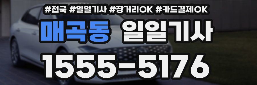 매곡동 일일기사