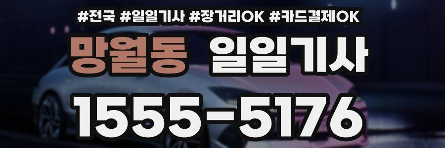 망월동 일일기사