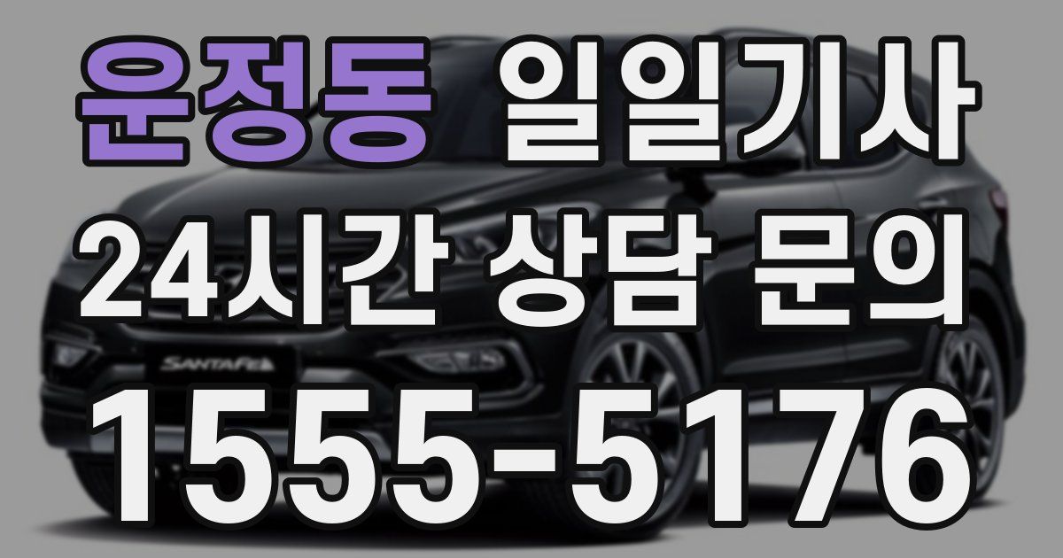 일일대리기사
