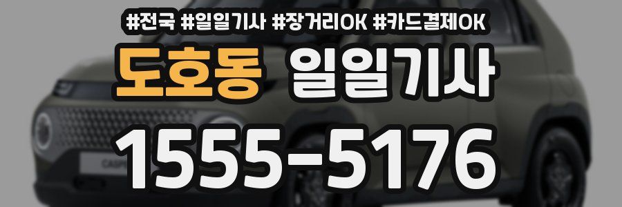 도호동 일일기사