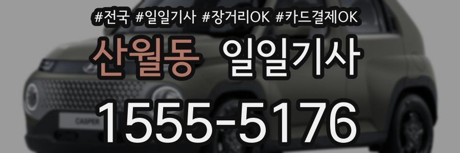 산월동 일일기사