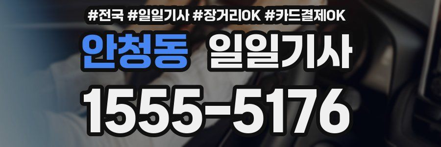 안청동 일일기사