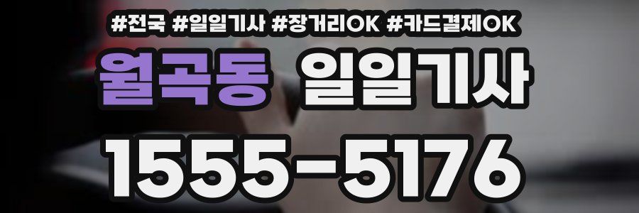 월곡동 일일기사