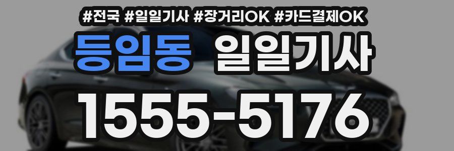 등임동 일일기사