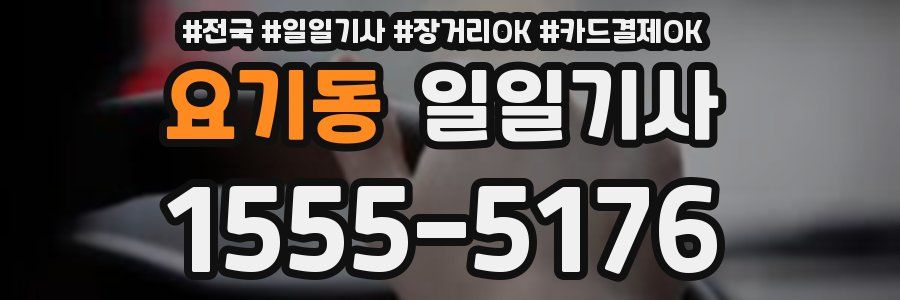 요기동 일일기사