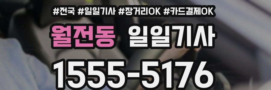 월전동 일일기사