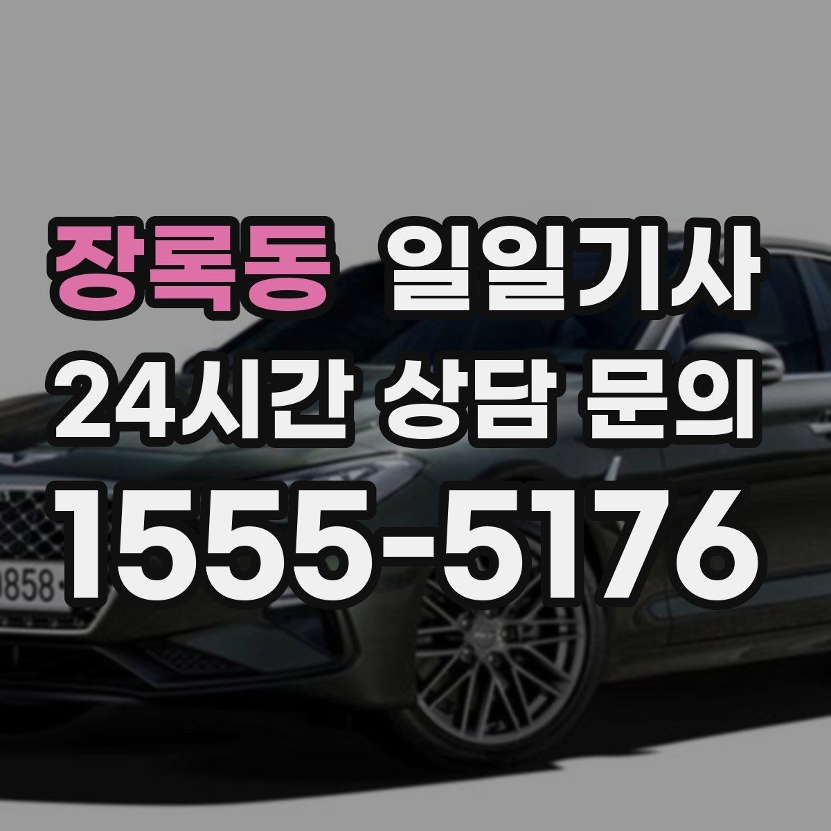 장록동 일일기사 반일 동행으로 여유를 더하다