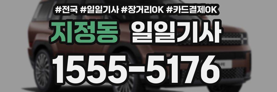 지정동 일일기사