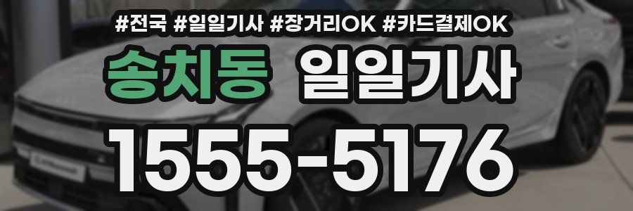 송치동 일일기사