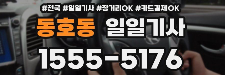 동호동 일일기사