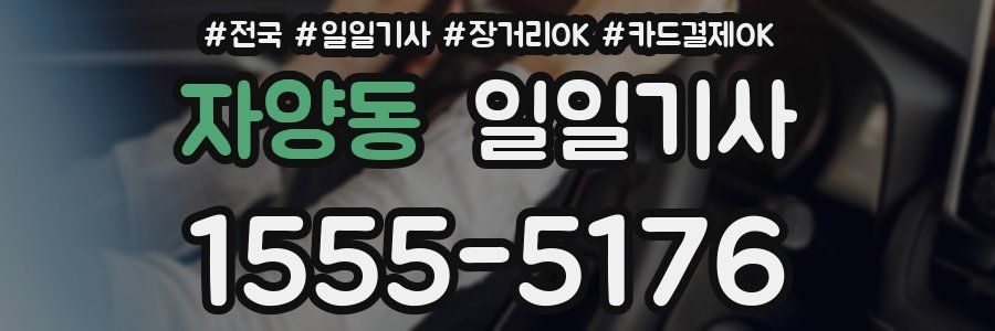 자양동 일일기사