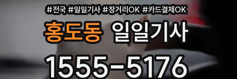 홍도동 일일기사