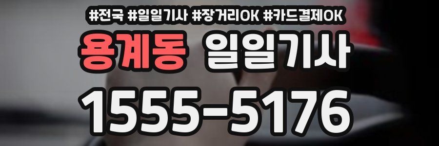 용계동 일일기사