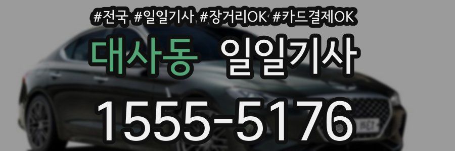 대사동 일일기사