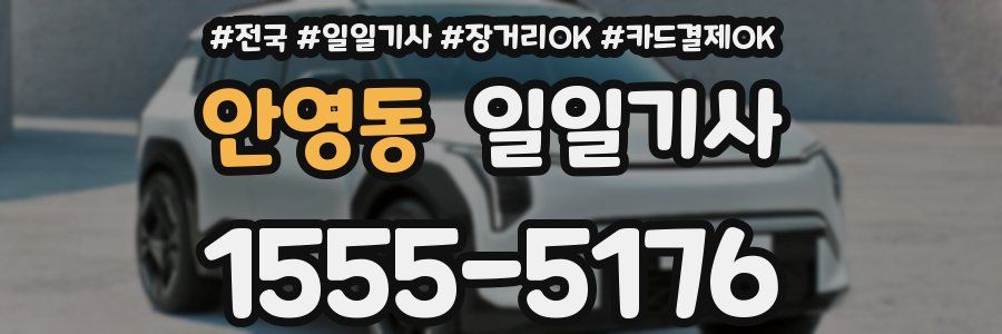 안영동 일일기사