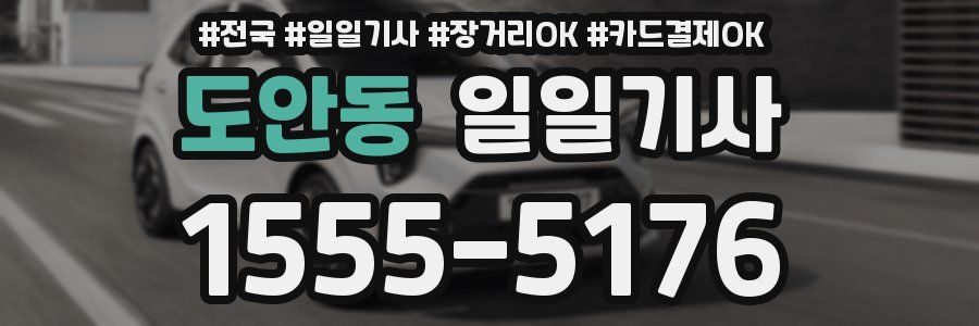 도안동 일일기사