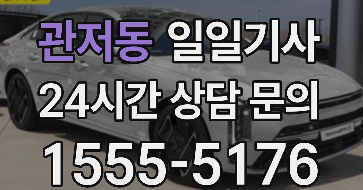 일일대리기사