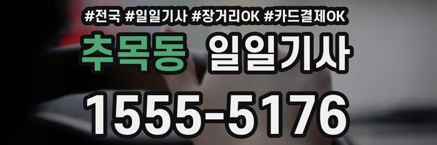 추목동 일일기사