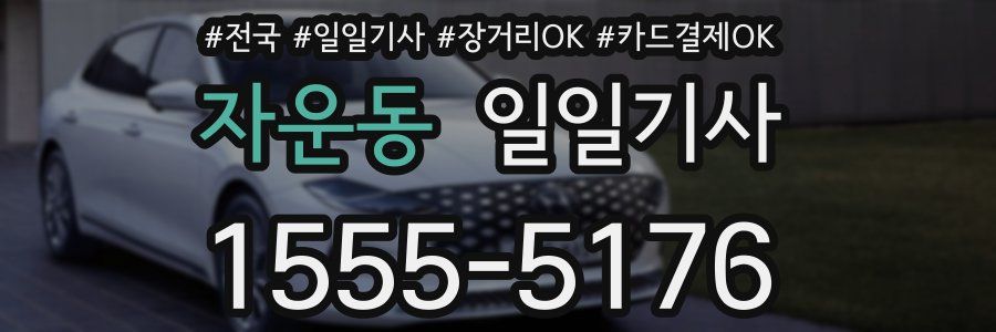 자운동 일일기사