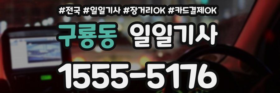 구룡동 일일기사