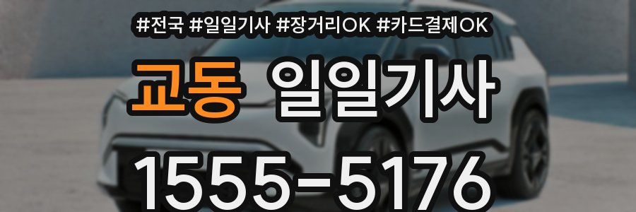 교동 일일기사