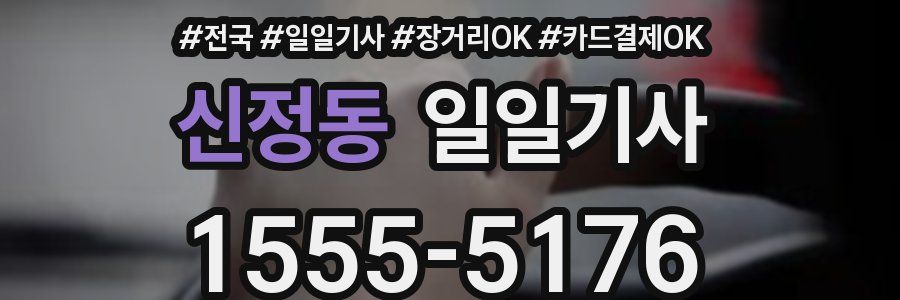 신정동 일일기사