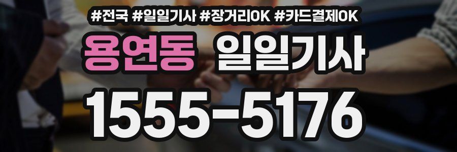 용연동 일일기사